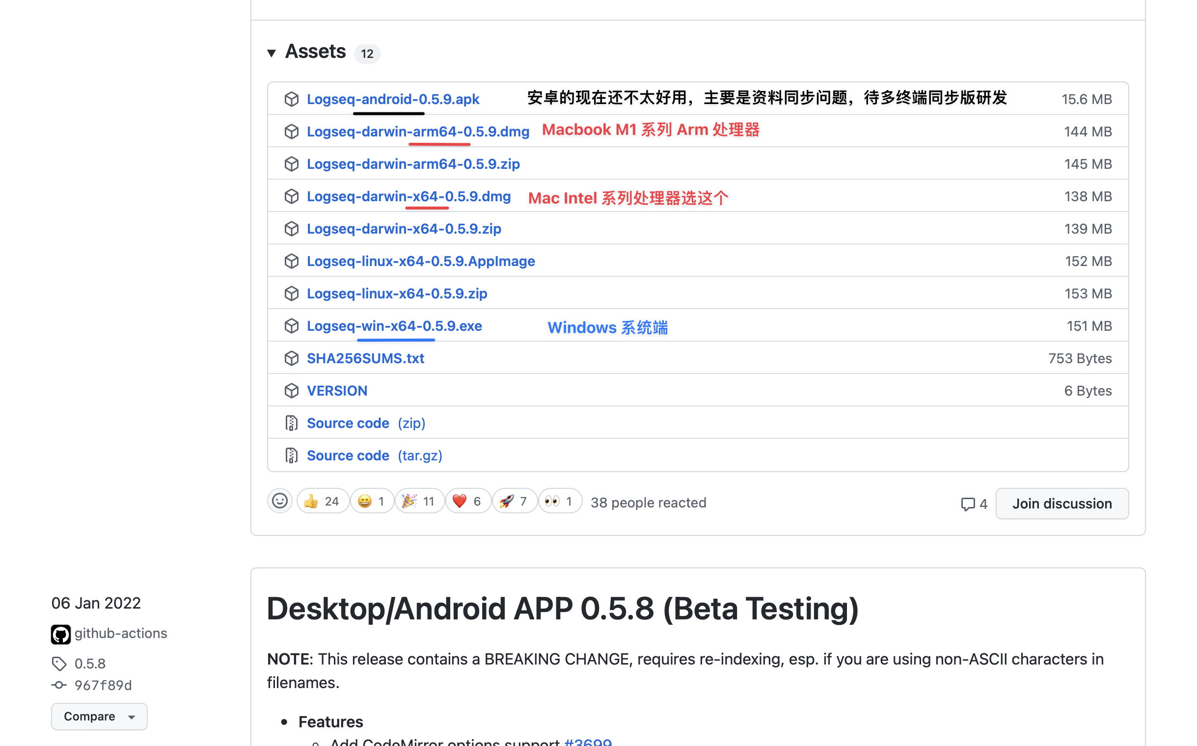 Logseq Assets