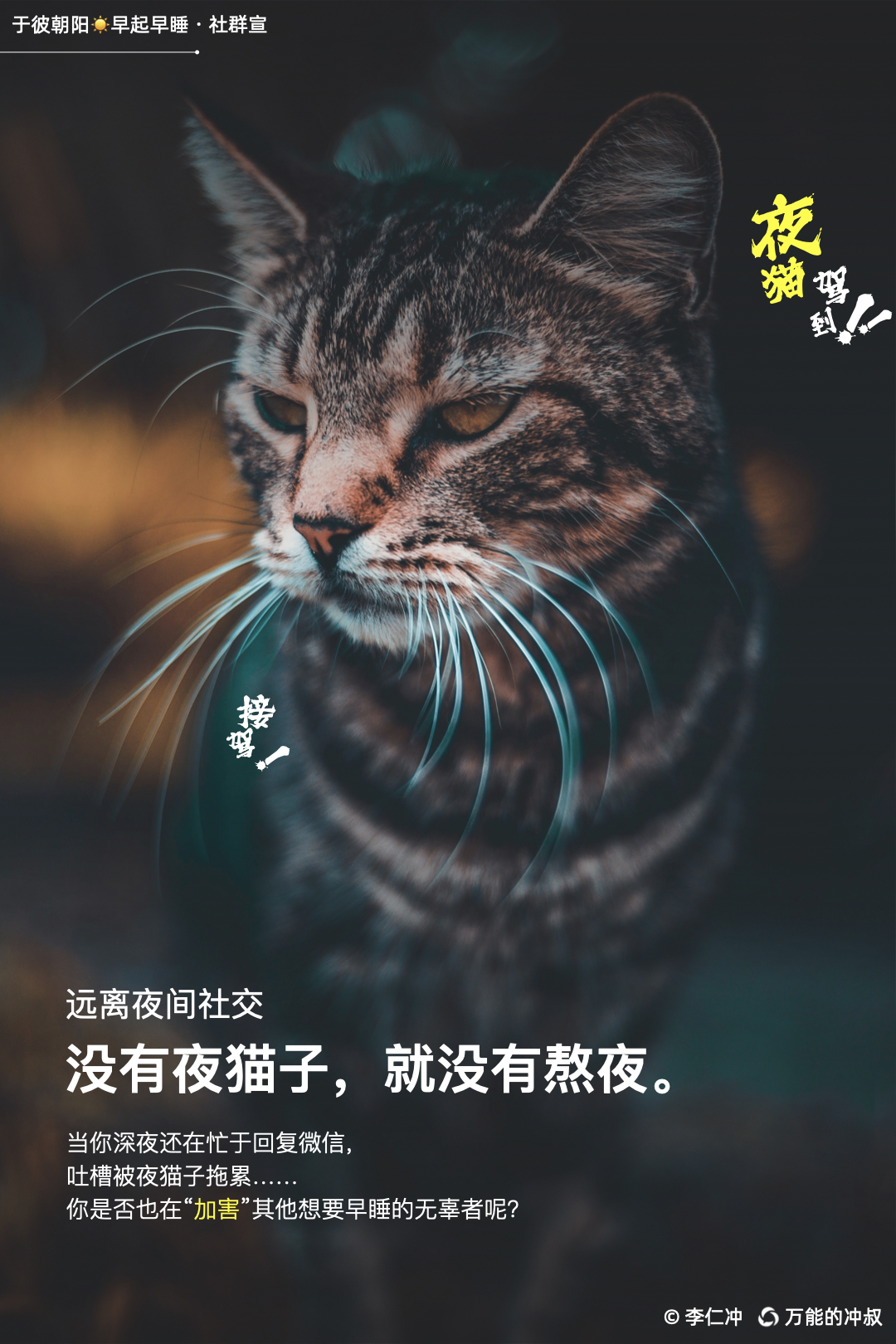 没有夜猫，就没有熬夜