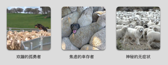 羊群中苟住